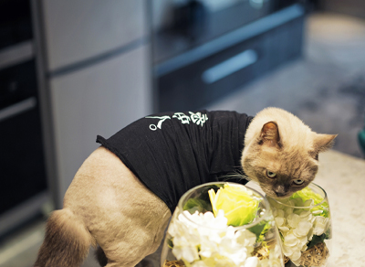 越秀时光-59㎡时尚现代简约